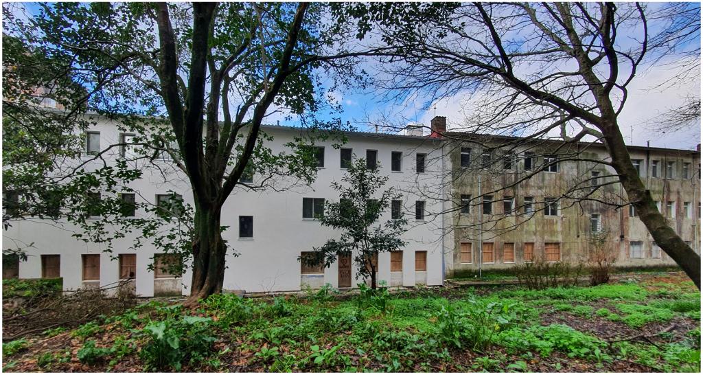 Acordo para incluir un programa de alugueiro público nos municipios da España Baleirada na futura Lei de vivenda