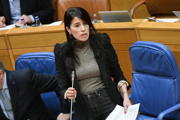 Allegue: "el Plan Estatal de Vivienda llega tarde, sin consenso con las comunidades autónomas y con financiación insuficiente"