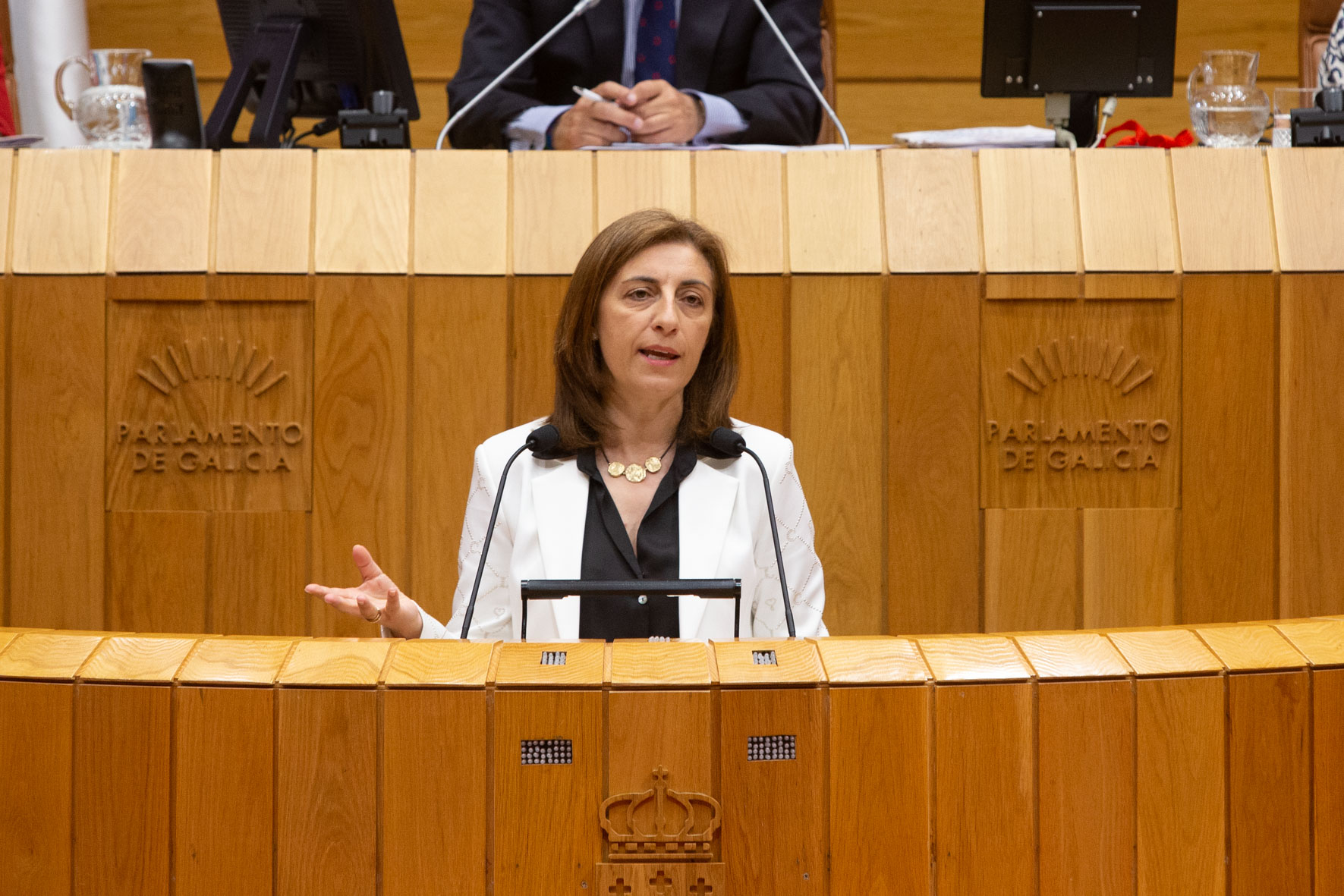 A Xunta reclamará unha mesa de diálogo co Goberno central para resolver as dúbidas competenciais da nova Lei polo dereito á vivenda