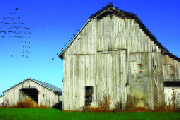 A Xunta buscará frear a despoboación do rural facilitando a construción de casas en solo rústico