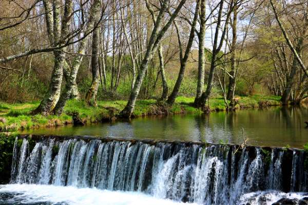 O concello de Oleiros licita solo por 1,7 millones para pisos de protección pública