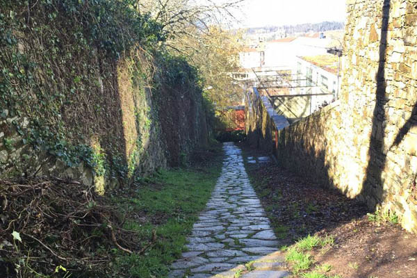 El proyecto Hydrangea gana el concurso Driehaus para recuperar el entorno de la rúa da Caramoniña