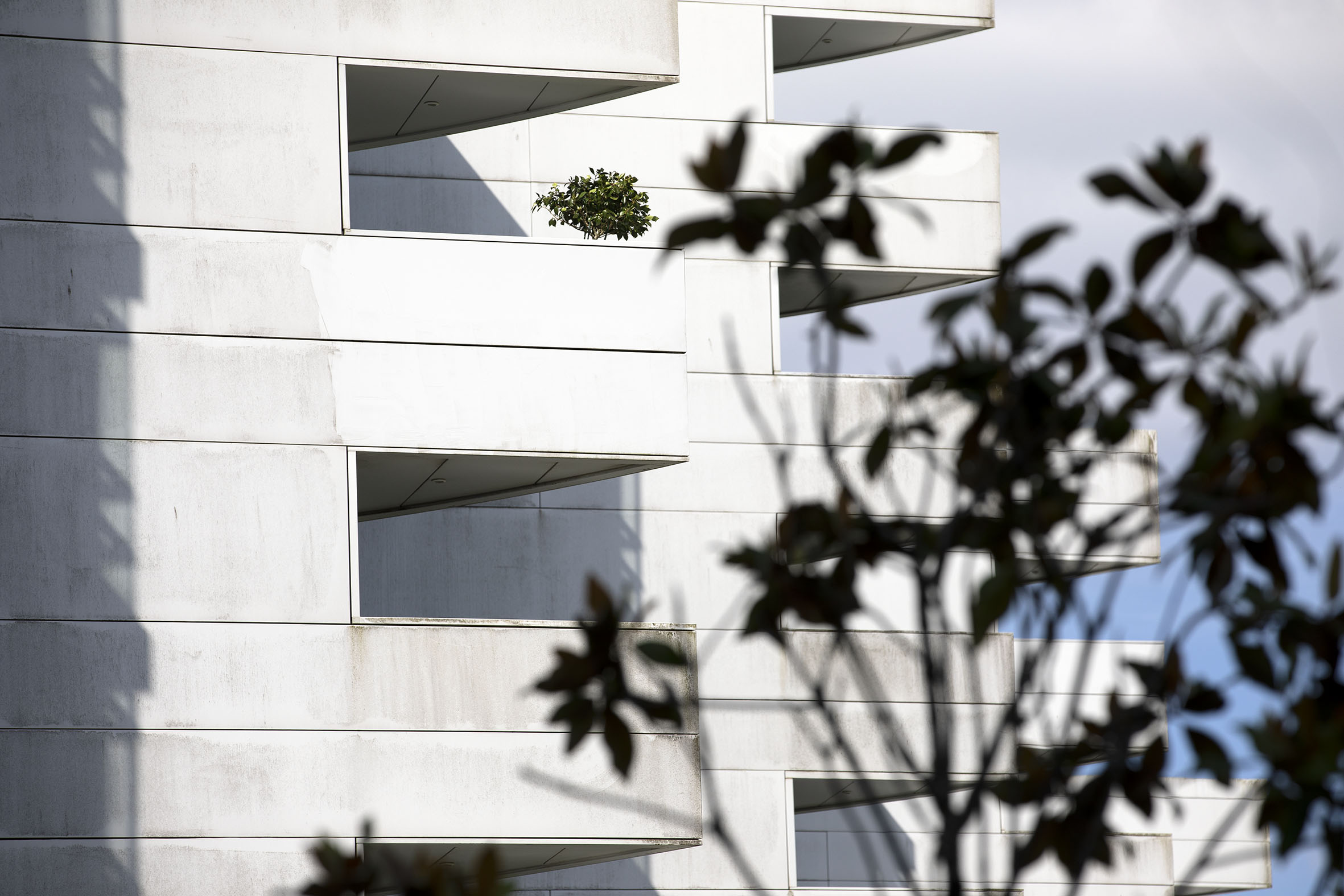 Abrese o prazo para solicitar as axudas ao alugueiro, cun orzamento de 20 M€